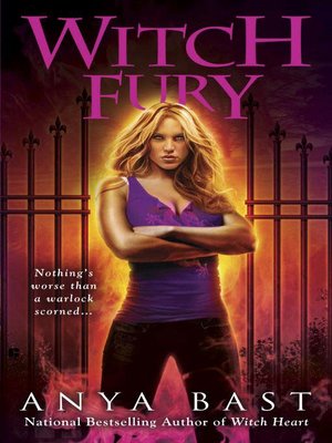 cover image of Witch Fury